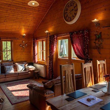 George Cabin - Log Cabin In Wales With Hot Tub นิวทาวน์ ภายนอก รูปภาพ