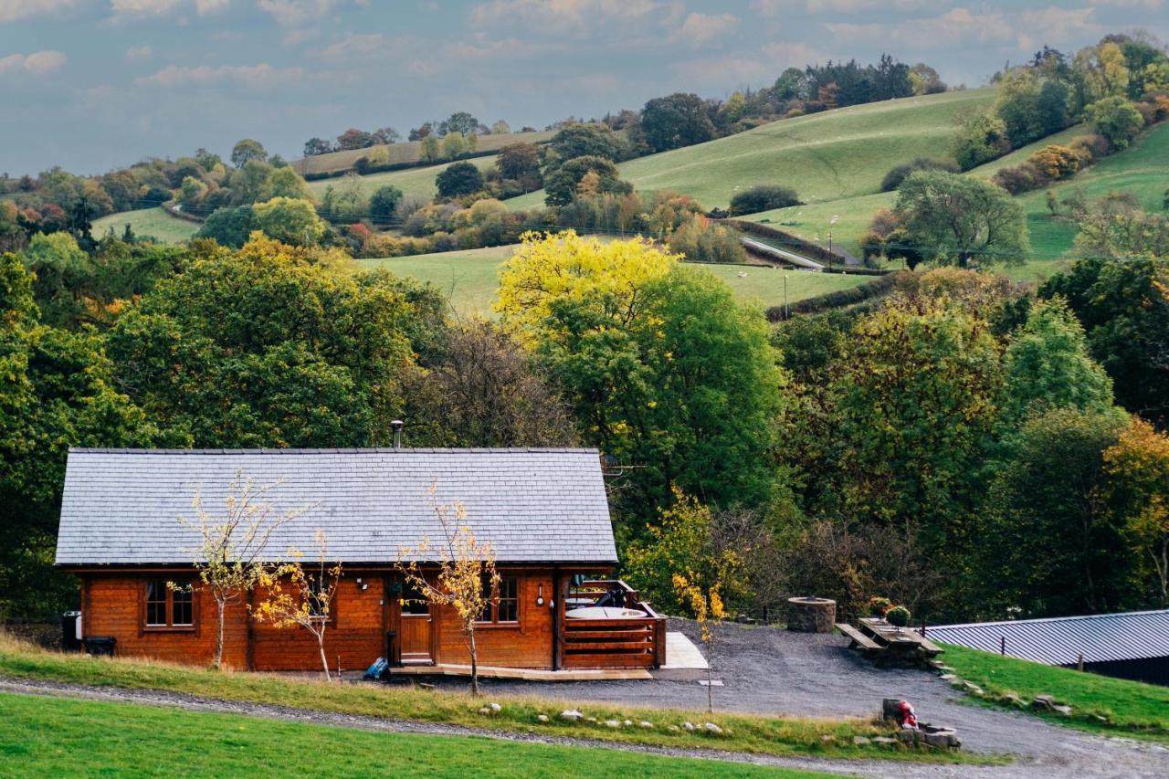 George Cabin - Log Cabin In Wales With Hot Tub นิวทาวน์ ภายนอก รูปภาพ