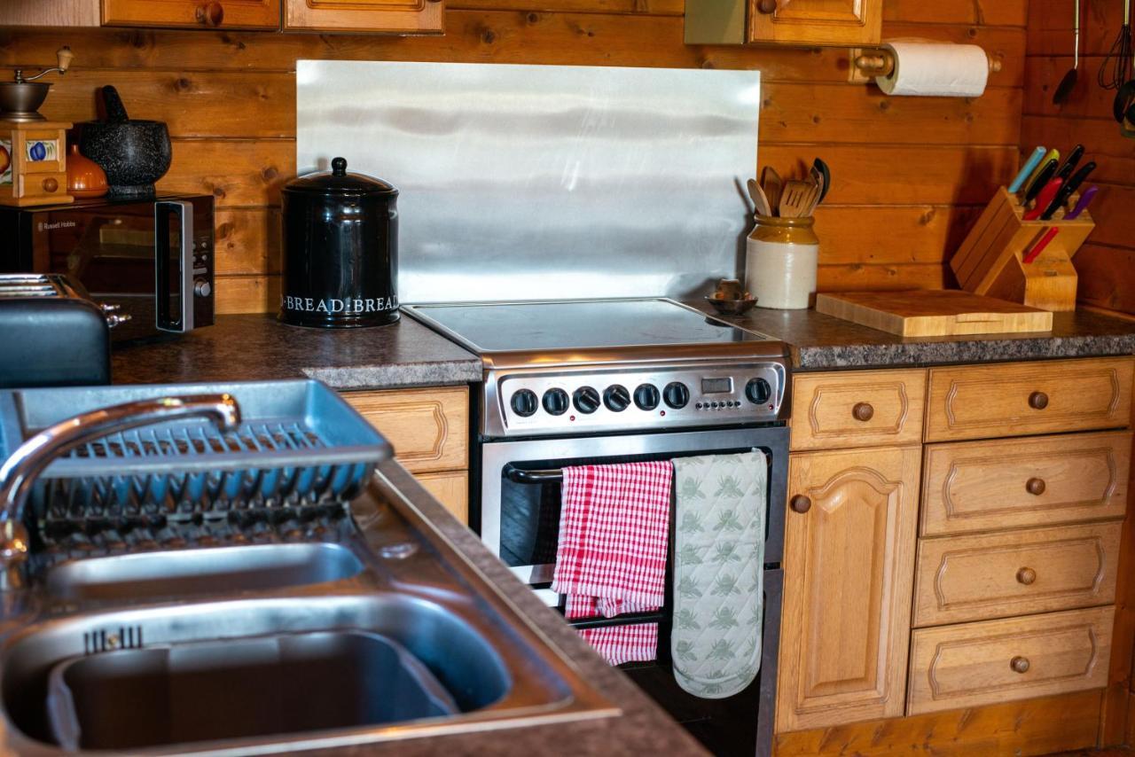 George Cabin - Log Cabin In Wales With Hot Tub นิวทาวน์ ภายนอก รูปภาพ