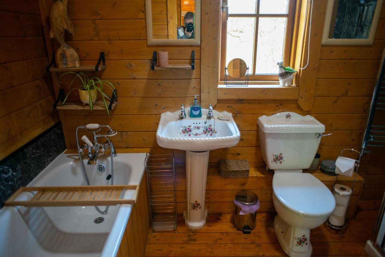 George Cabin - Log Cabin In Wales With Hot Tub นิวทาวน์ ภายนอก รูปภาพ