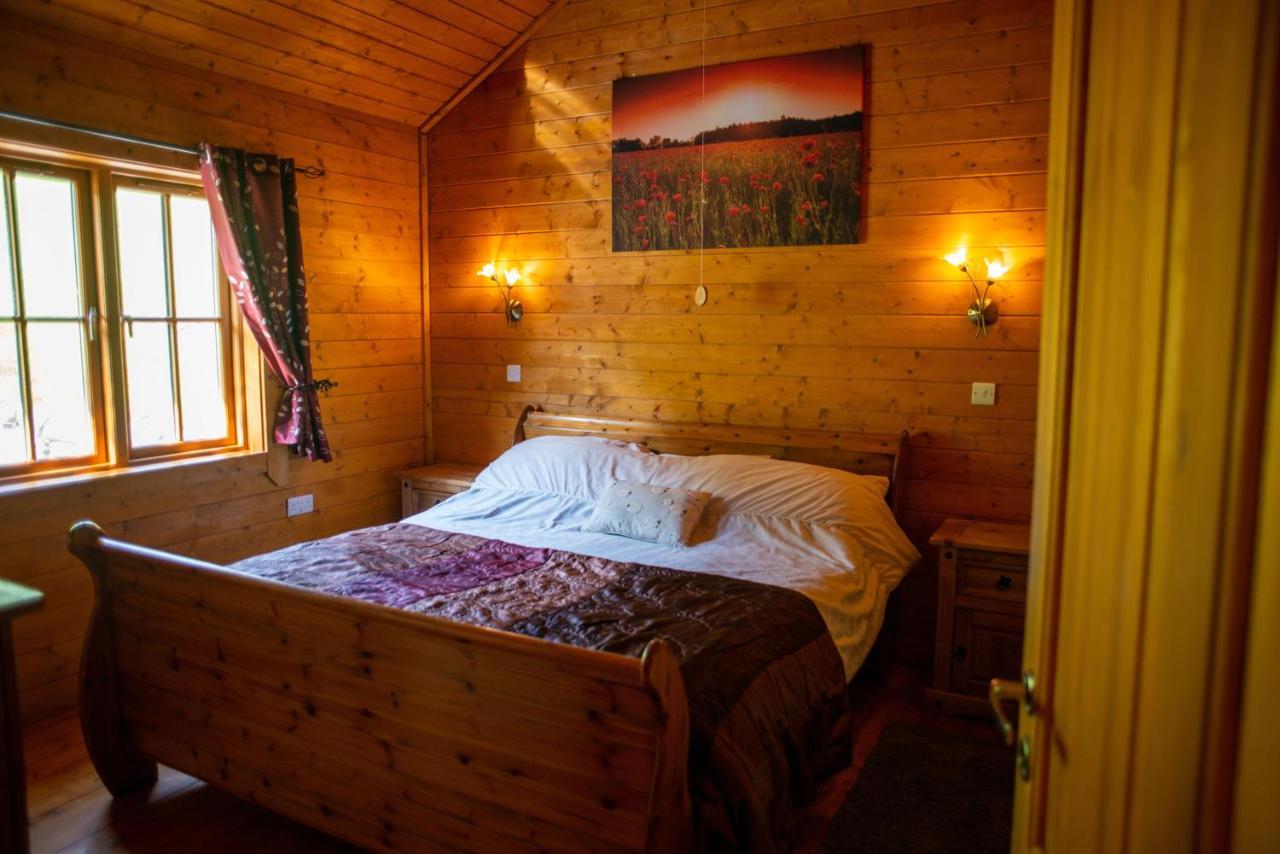 George Cabin - Log Cabin In Wales With Hot Tub นิวทาวน์ ภายนอก รูปภาพ