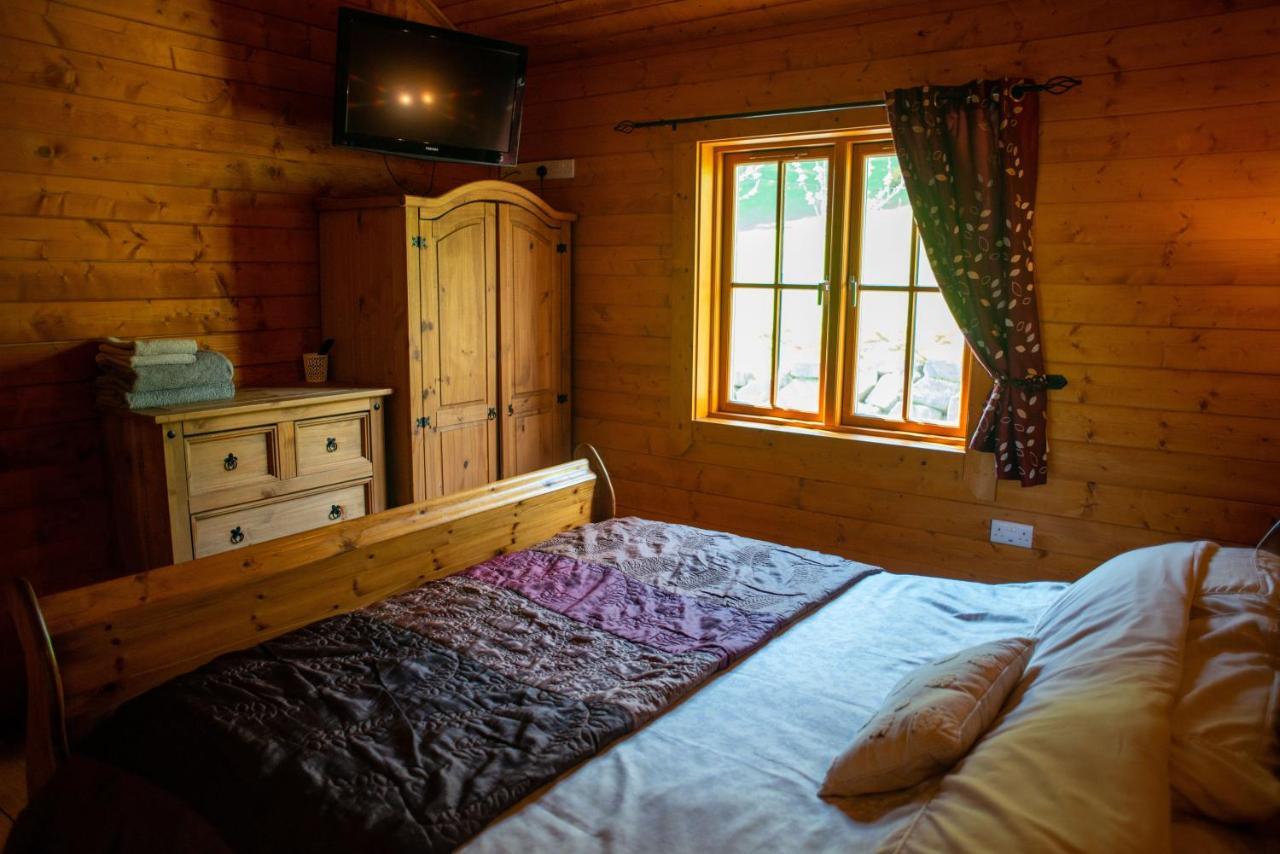 George Cabin - Log Cabin In Wales With Hot Tub นิวทาวน์ ภายนอก รูปภาพ