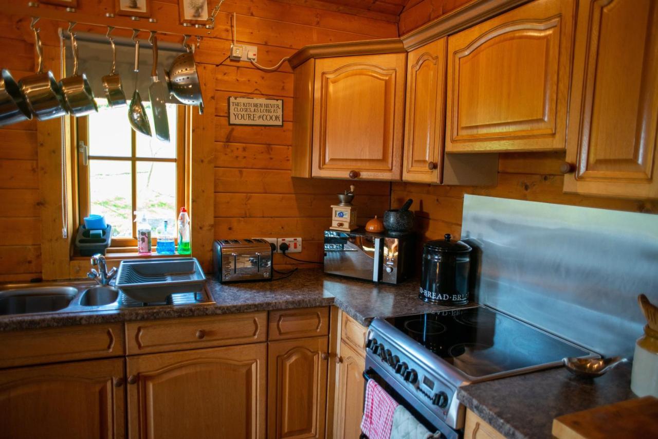 George Cabin - Log Cabin In Wales With Hot Tub นิวทาวน์ ภายนอก รูปภาพ